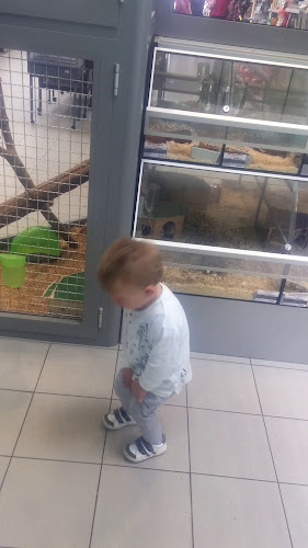 Recenzije Pet centar u Rijeka - Veterinar