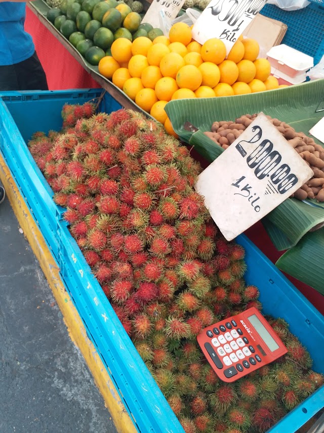 Salcedo Saturday Market