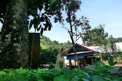 Photos of Taman Wisata Babak Latuppa