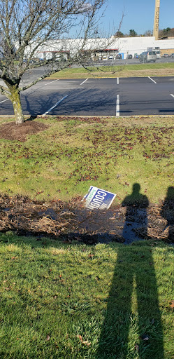 Milliston Common - Visual