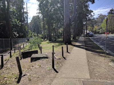 Photos of Davidson Park
