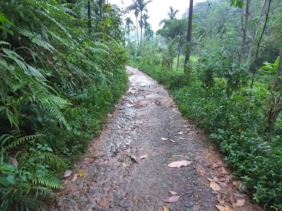 Photos of Bandura Kalawana - Rainforest Bungalow