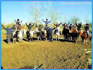 Photo n°17 de Centre Equestre Lillhippus à Onet-le-Château (Éleveur)