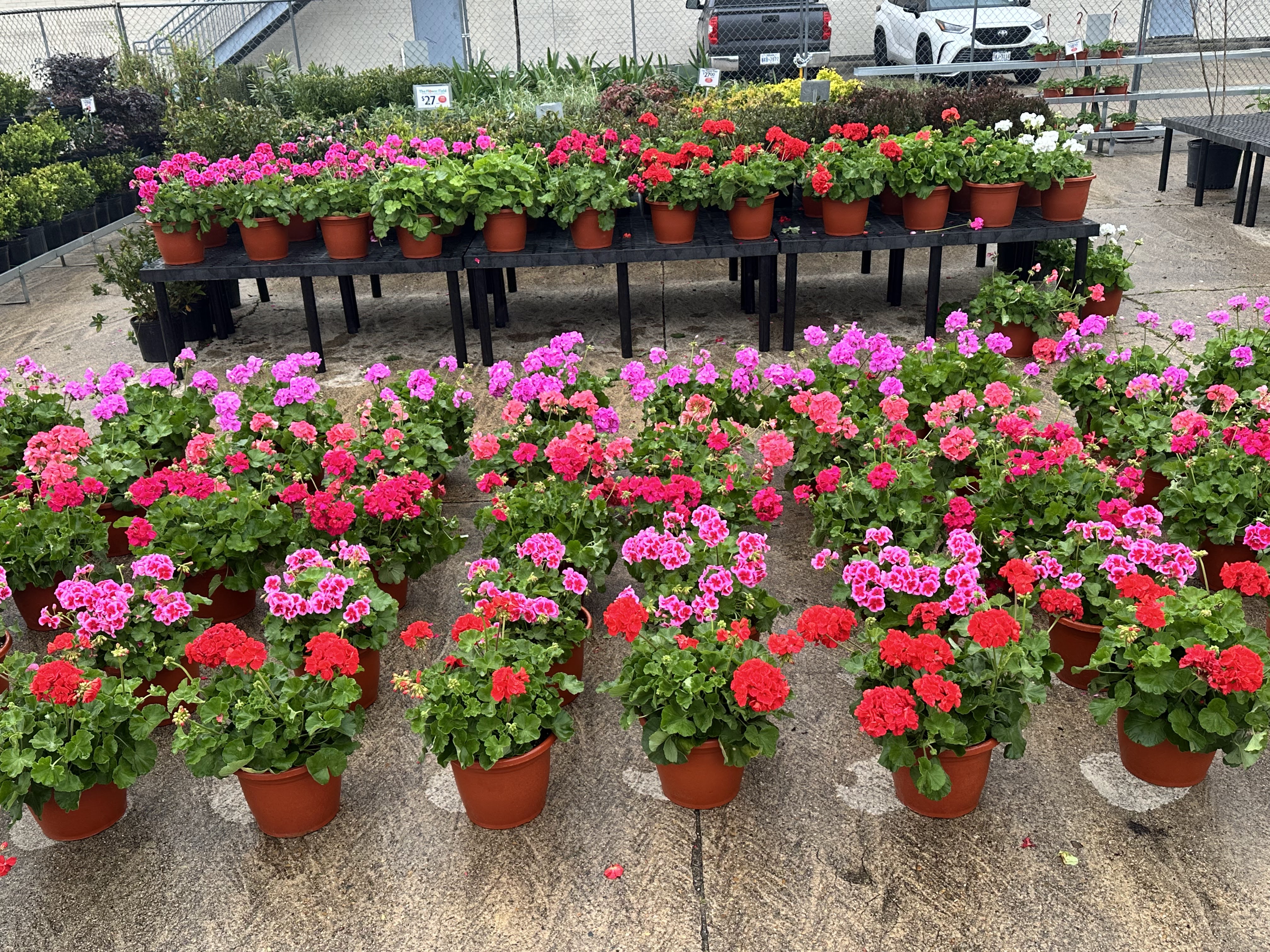 The Flower Field, LLC