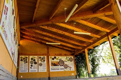 Photos of Environmental University (AMU)