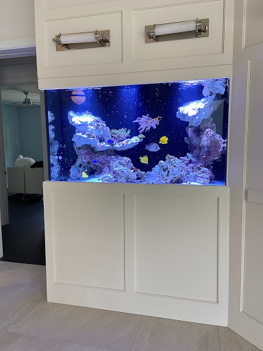The Fishman, Custom Aquariums - Thumbnail