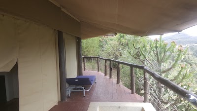 Photos of Kika Lodge Gilgil