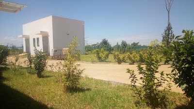 Photos of JKUAT Chinesse Botanical Garden