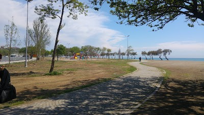 Photos of Soil Football Field