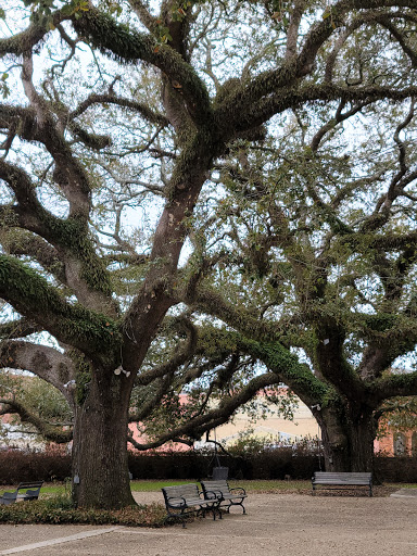 Magdalen square - Thumbnail