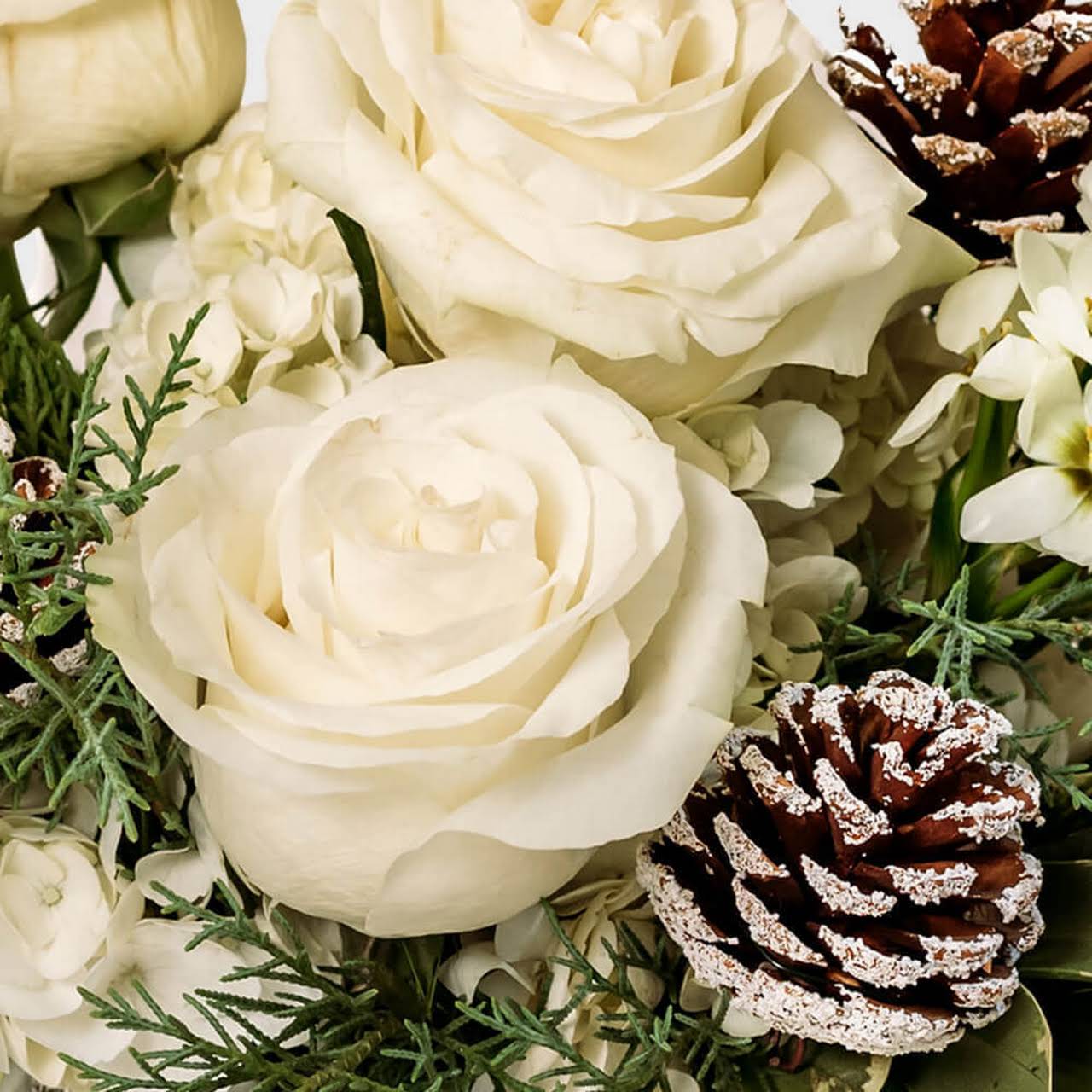 Deal of the Day - by Capitol Hill Florist, Gifts & Flower Delivery