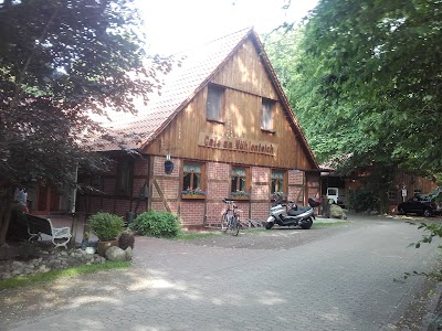 Photos of Caf&eacute; am M&uuml;hlenteich