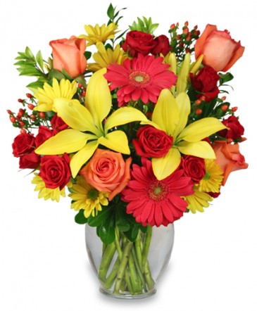 Rhynardys Flowers Gallery - United States