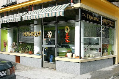local-government-office