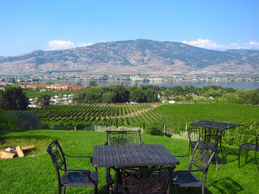 NK'MIP Cellars - Visual