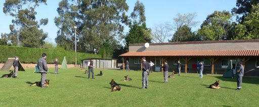 Cecapa - Centro Canino Parayas - Thumbnail