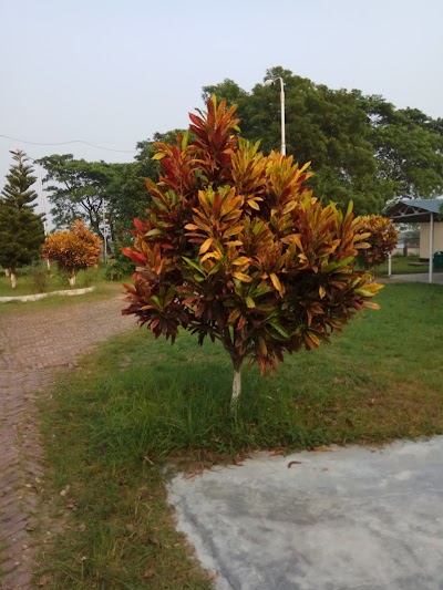Photos of Micromax