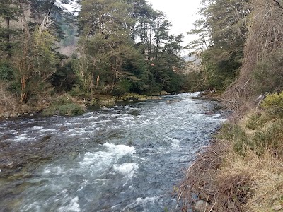 Photos of Agro Camping La Araucaria