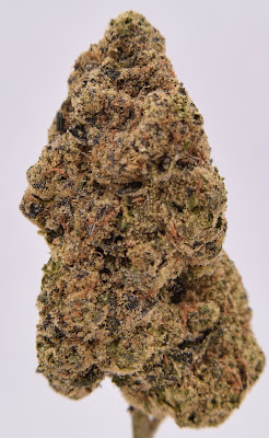 Photo of King Cloud