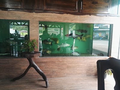 Photos of Parque El Tanque