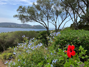 Photo n°2 de Garden Service à Lecci (Service d'élagage)