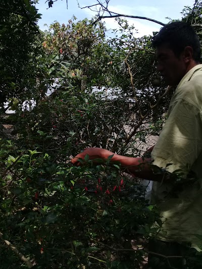 Photos of Finca San Antonio