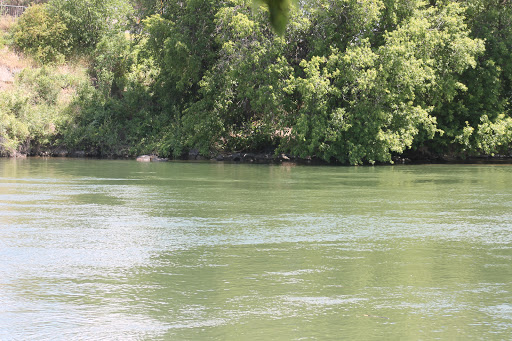 Snake River Ferry - Thumbnail