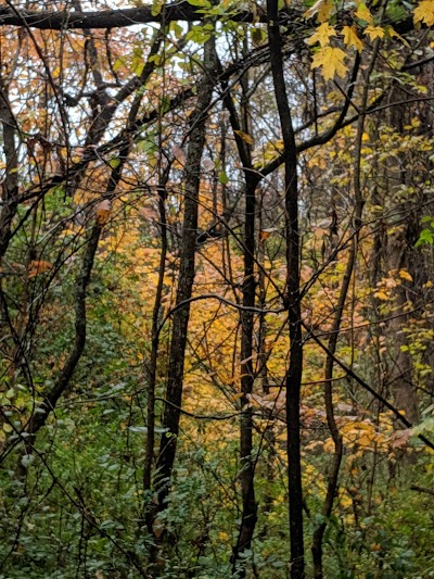 Ohio University Ridges Land Lab Nature Preserve And Scientific Research Area