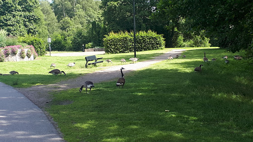 Dalenparken - Visual