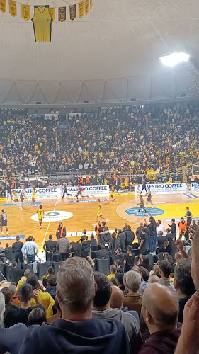 Αλεξάνδρειο Αθλητικό Μέλαθρο (Παλαί ντε σπόρ)