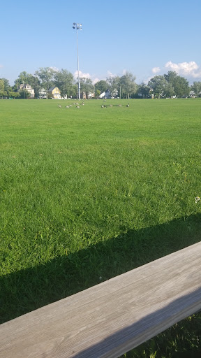 Luke Easter Park - Visual