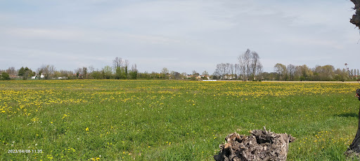 Fornase - Visual