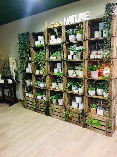 Photo de L'Atelier Nature à Sanguinet (40460)