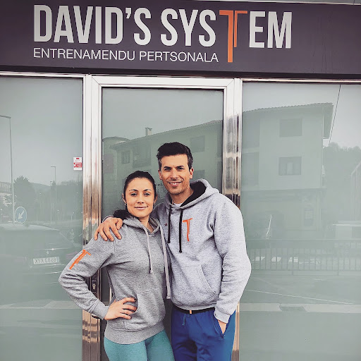 David's System - Visual