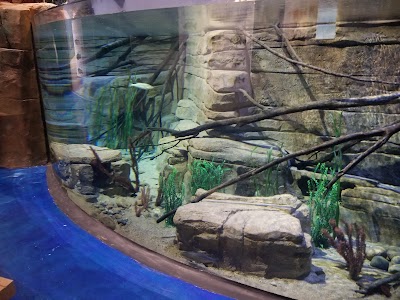 Living Shores Aquarium