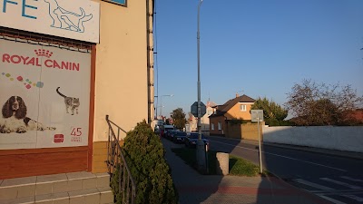 Photos of Vetlife Ltd.
