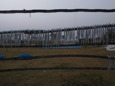 Photos of কুয়াকাটা দা. মাদরাসা সংলগ্ন জামে মসজিদ।