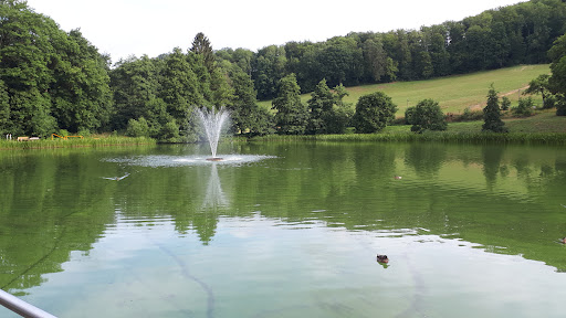 Kurpark / Lönspark - Visual