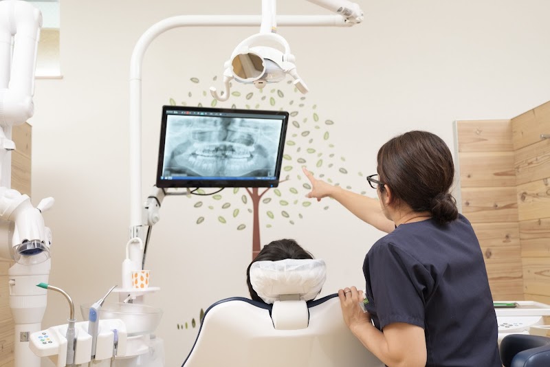 和泉市 木下歯科クリニック【歯医者/審美歯科】