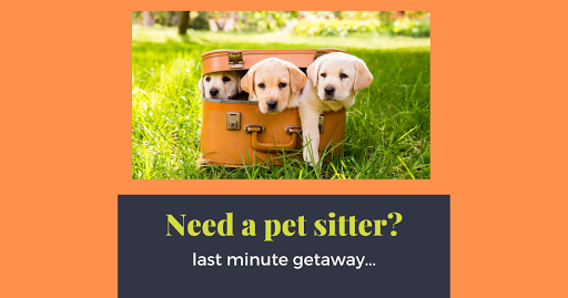 Trusted Pet Carers - Pet Sitters - Thumbnail