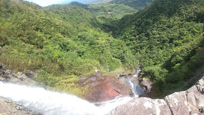 Photos of Black River Gorges National Park