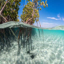 Photo n°27 de Agence de voyage TUI STORE Melun à Melun (Billetterie de spectacles)