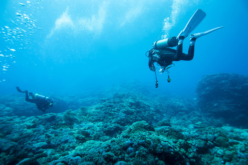 SUNY TRAVEL Viajes de buceo al Mar Rojo