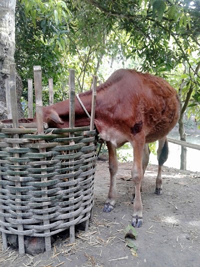 Photos of খলসি পশ্চিম পাড়া মসজিদ