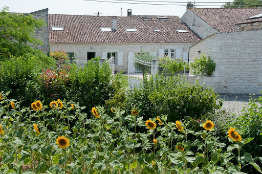 Photo de Gîte Les Vignes