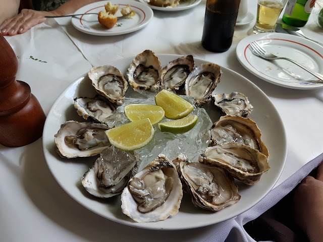 O Peixe Vivo