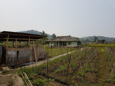 Photos of Pengobatan Alternatif Al Huda, Haji Al Gozali, Cibeber Cianjur