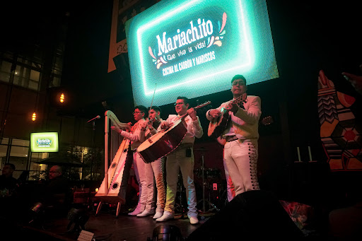 Mariachito Insurgentes