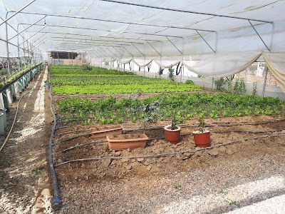 Blerina Farm