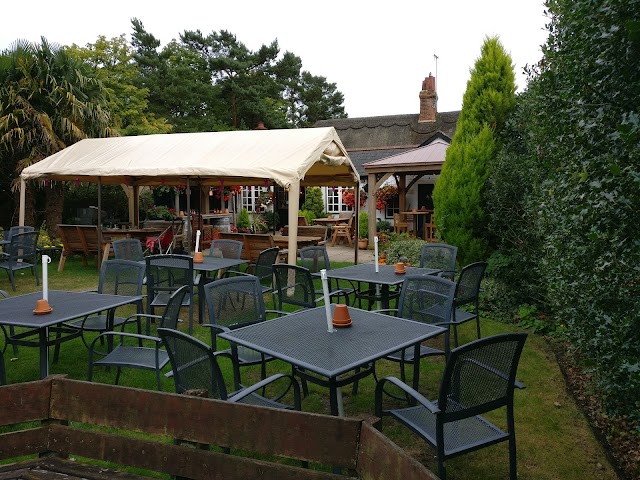 Waterloo Arms